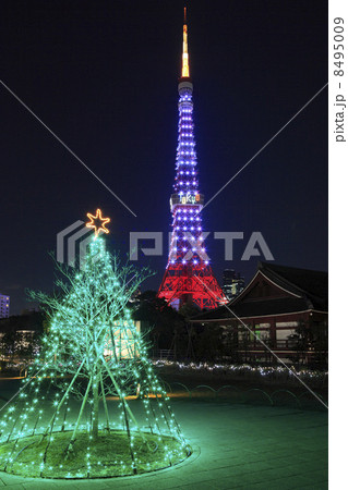 東京タワーのクリスマスイルミネーション 東京タワーのクリスマスイルミネーション 8495009