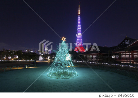 東京タワーのクリスマスイルミネーション 8495010