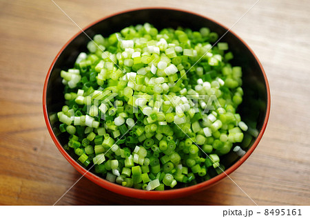 刻みネギ_1005 刻みネギ_1005 8495161