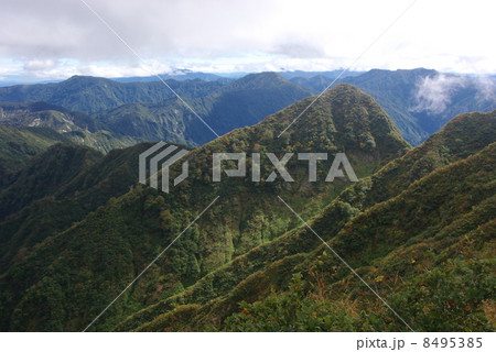粟ヶ岳登山道より一本岳 粟ヶ岳登山道より一本岳 8495385