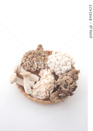 きのこ５種類 8495425