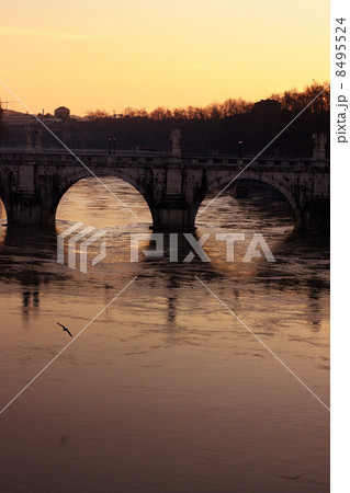 橋 橋 8495524