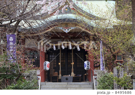 東京都・芝東照宮 8495686