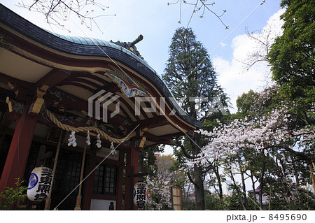 東京都・芝東照宮 8495690