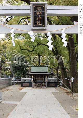 東京都芝公園・熊野神社 8495717
