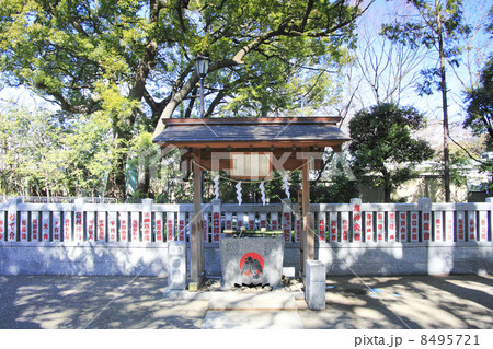 東京都芝公園・熊野神社 8495721