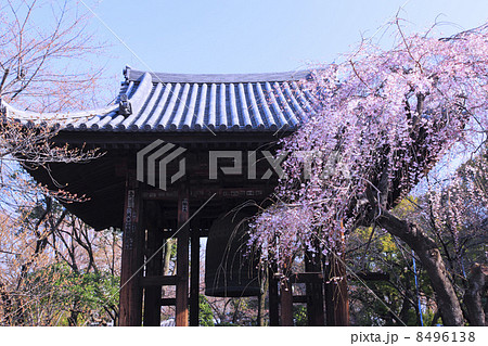 東京都・増上寺の梵鐘 東京都・増上寺の梵鐘 8496138