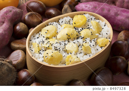 くりごはん 8497328