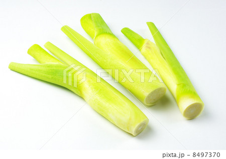 食物繊維たっぷりのマコモタケ 食物繊維たっぷりのマコモタケ 8497370