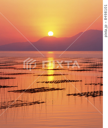 有明海のりひび夕景 8498101