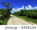 竹富島の道 8498104