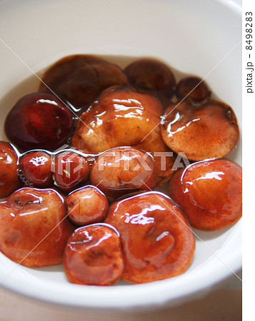 塩水に漬けた落葉きのこ 8498283