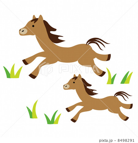 馬　親子 8498291