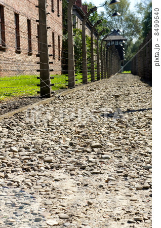 アウシュヴィッツ強制収容所 8499640