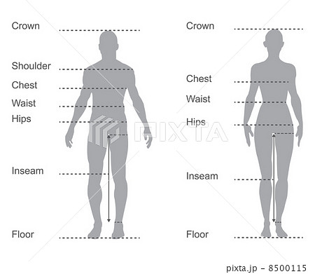 size chart, measurement diagram of male and female body measurements for clothing size chart, measurement diagram of male and female body measurements for clothing 8500115