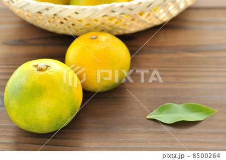 早生みかん 8500264