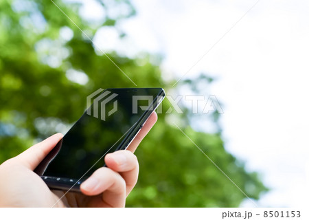 スマートフォンを持つ 8501153