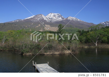 妙高山といもり池 8501781