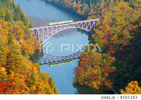 紅葉の只見線・第一橋梁 紅葉の只見線・第一橋梁 8502163