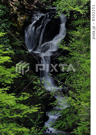 大水沢の滝 8502251