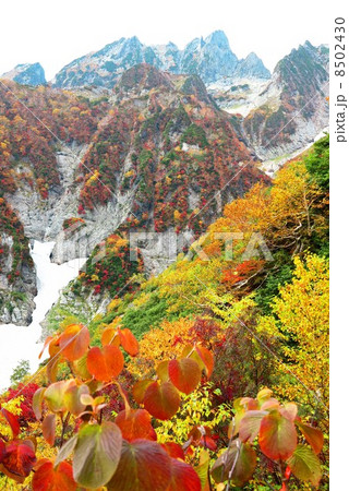 紅葉の平ノ池 8502430