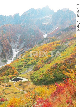 紅葉の平ノ池 紅葉の平ノ池 8502431