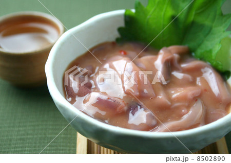 真いか塩辛 8502890