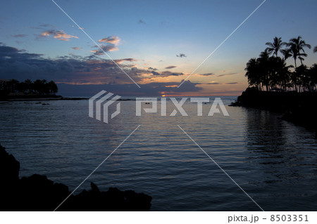 ハワイ島コハラコースト夕景 8503351