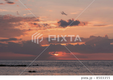 ハワイ島コハラコースト夕景 8503355