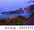 クルスの海　宮崎 8503455