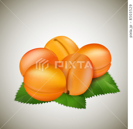 Apricots with leaves 8503529
