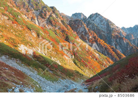 剱沢の紅葉 8503686