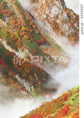 剱沢の紅葉 剱沢の紅葉 8503687