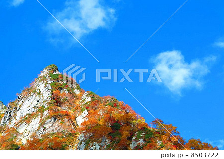 剱沢の紅葉 8503722