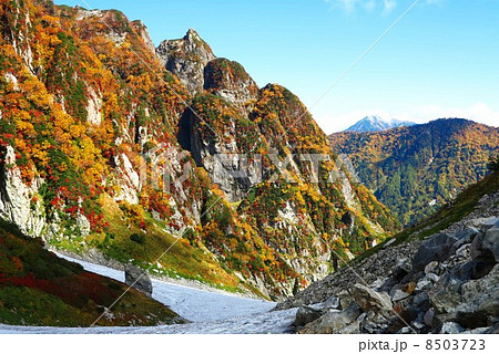 剱沢雪渓と紅葉 剱沢雪渓と紅葉 8503723