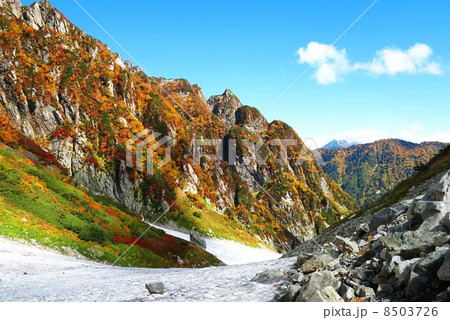 剱沢雪渓と紅葉 剱沢雪渓と紅葉 8503726