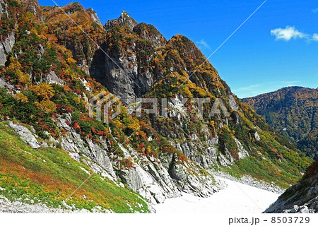 剱沢雪渓と紅葉 剱沢雪渓と紅葉 8503729