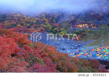 涸沢カールの夕方 8503823