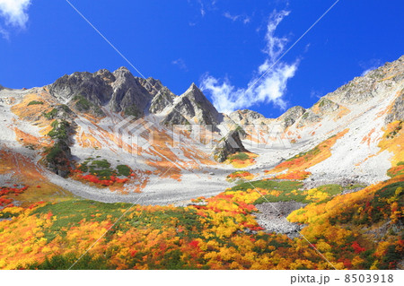 涸沢カールの紅葉 8503918