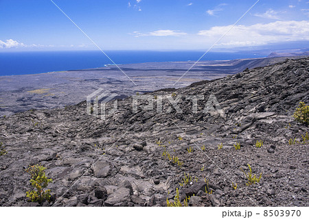キラウエア火山 ハワイ島 キラウエア火山 ハワイ島 8503970