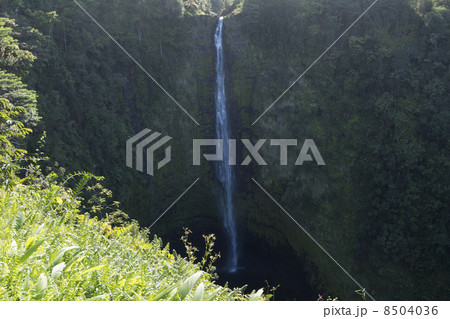 ハワイ島のアカカ滝 ハワイ島のアカカ滝 8504036