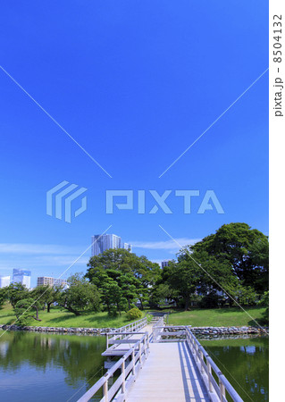 東京都・都会のオアシス　夏の浜離宮恩賜庭園 8504132