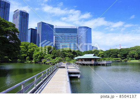 東京都 都会のオアシス 夏の浜離宮恩賜庭園の写真素材