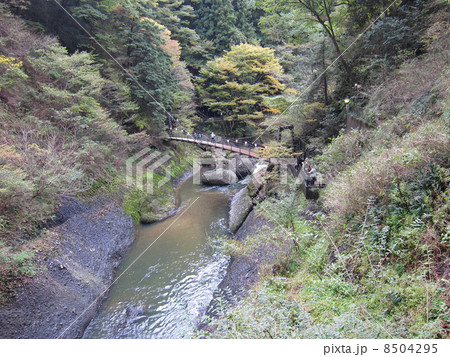観瀑台からの眺め　袋田の滝 8504295
