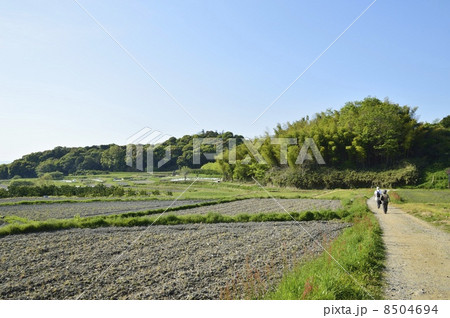 山の辺の道 山の辺の道 8504694