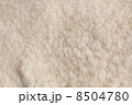 羊毛 8504780