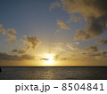 夕日 8504841
