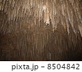 洞窟 8504842