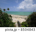 海への道 8504843
