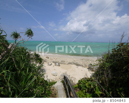 海への道 8504843